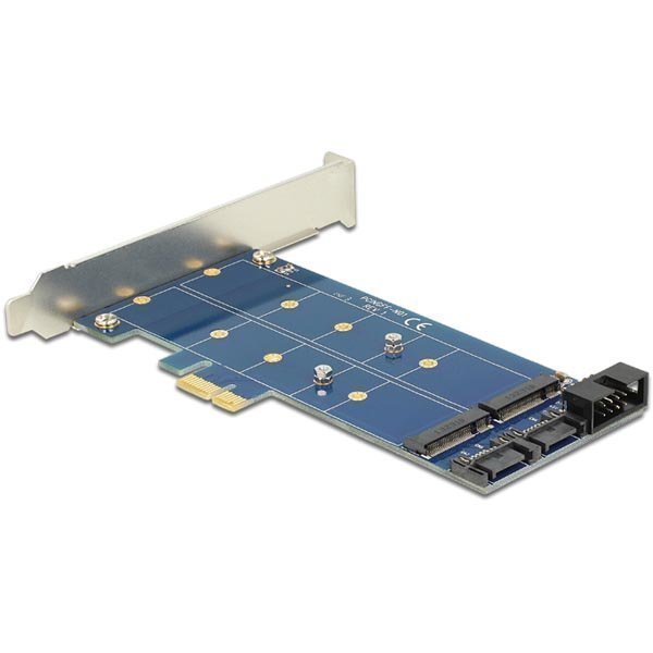 DeLOCK sovitin SATA/USB - 2xM.2 muk. matalaprof PCI-peitelevy