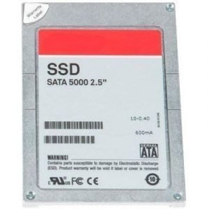 Dell Puolijohdeasema 0.256tb 2.5 Serial Ata-150