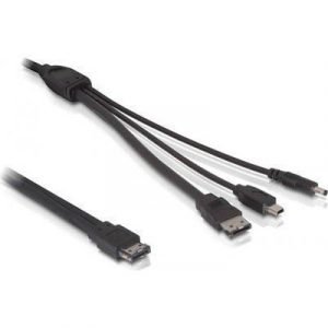 Delock Power Over Esata -kaapeli 11 Pin Usb/esata Uros 7 Nastan Ulkoinen Serial Ata 3.5 Mm:n Tasavirtapistukka Mini-usb Tyyppi B Uros Musta 1m