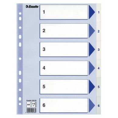 ESSELTE Rekisteri Esselte PP A4 1-6 valkoinen