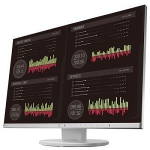 Eizo Flexscan Ev2455 Gray 24.1 16:10 1920 X 1200 Ips