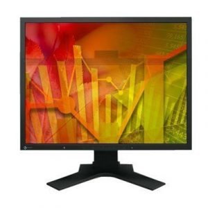 Eizo Flexscan S2133-bk 21.3 4:3 1600 X 1200 Ips