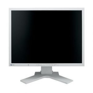 Eizo Flexscan S2133-gy 21.3 4:3 1600 X 1200 Ips