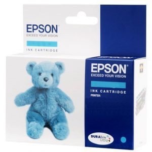 Epson T0482