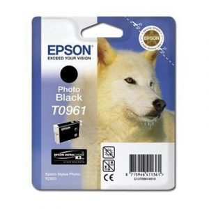 Epson T0961