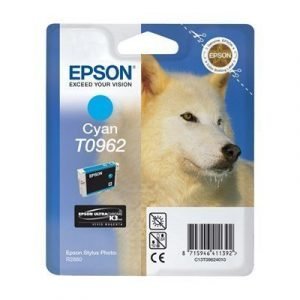 Epson T0962