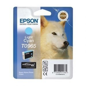 Epson T0965