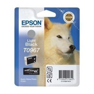 Epson T0967