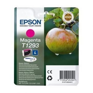 Epson T1293