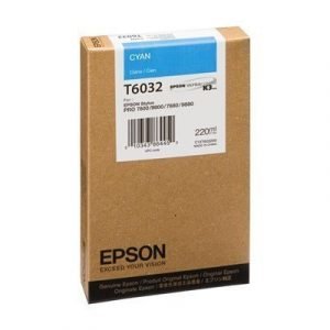 Epson T6032