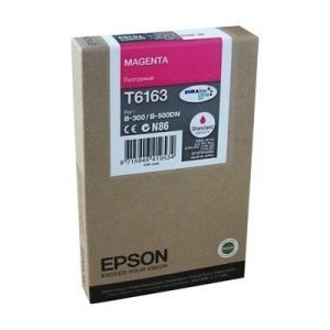 Epson T6163