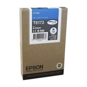 Epson T6172