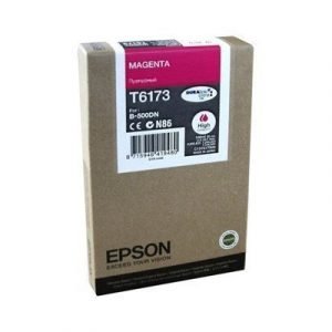 Epson T6173