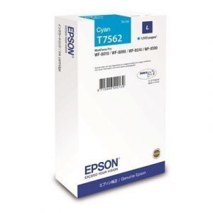 Epson T7562