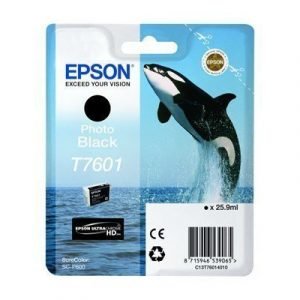 Epson T7601