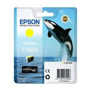 Epson T7604