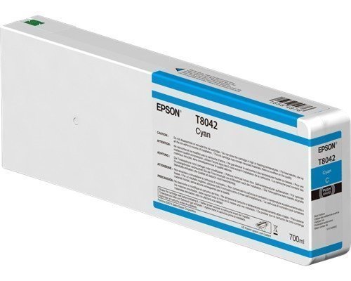 Epson T804200