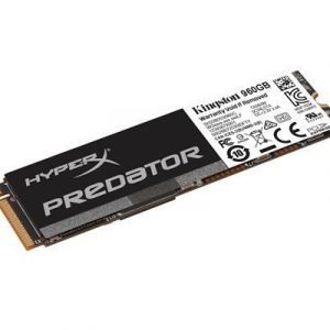 Kingston Hyperx Predator 960gb M.2 Pci Express 2.0 X4