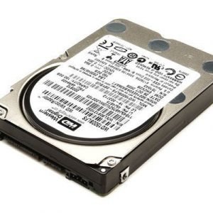 Lenovo Kiintolevyasema 0.5tb 3.5 Serial Ata-300