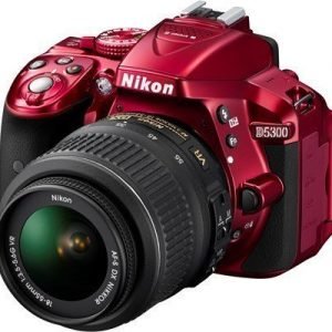 Nikon D5300 + Af-p Dx 18-55/3