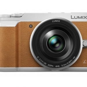 Panasonic Lumix Dmc-gx80 + 20/1