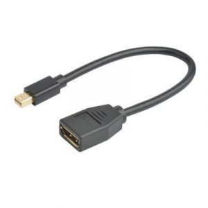 Prokord Näyttösovitin Mini Displayport Uros 20-nastan Näyttöporttiliitin Naaras