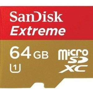 Sandisk Extreme