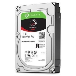 Seagate Ironwolf Pro 4tb 3.5 Serial Ata-600