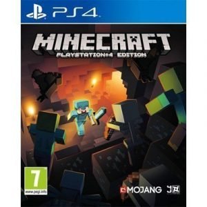 Sony Minecraft Ps4