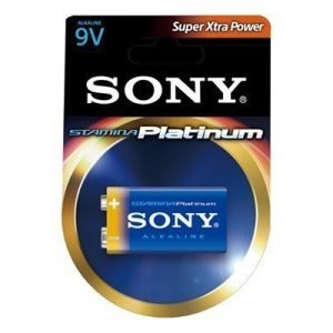Sony Stamina Platinum 6am6pt-b1d