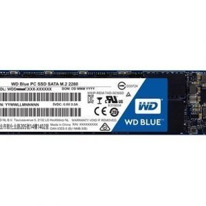 Wd Blue Ssd 1000gb M.2 Serial Ata-600