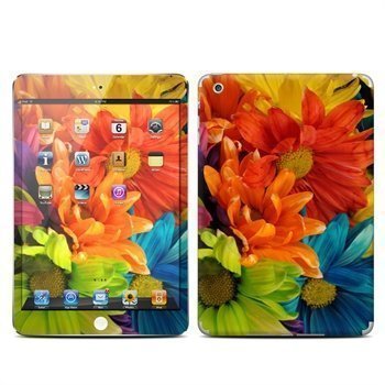 iPad Mini Colours Skin