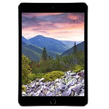 iPad mini 3 Wi-Fi Cellular 16Gt Avaruuden Harmaa